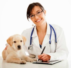 medico-veterinario-unsm